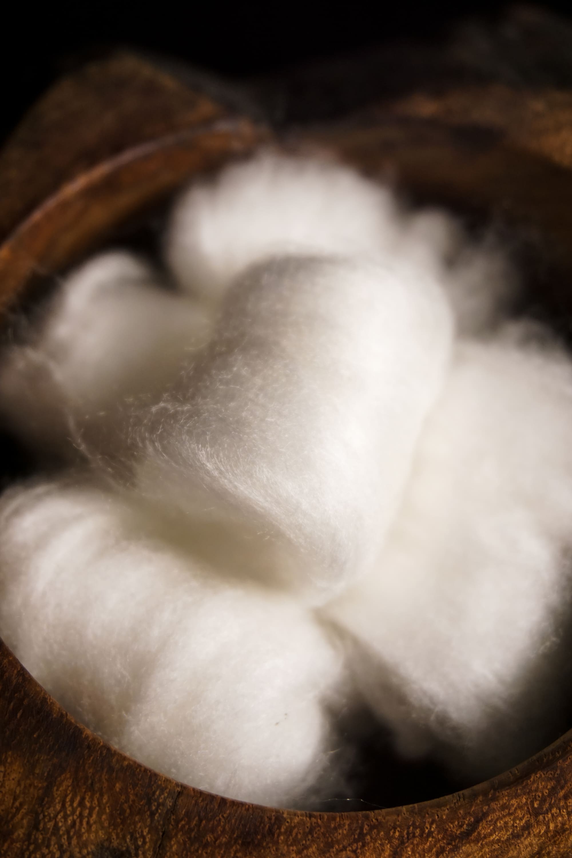 Celestial Silk Microfiber Cotton