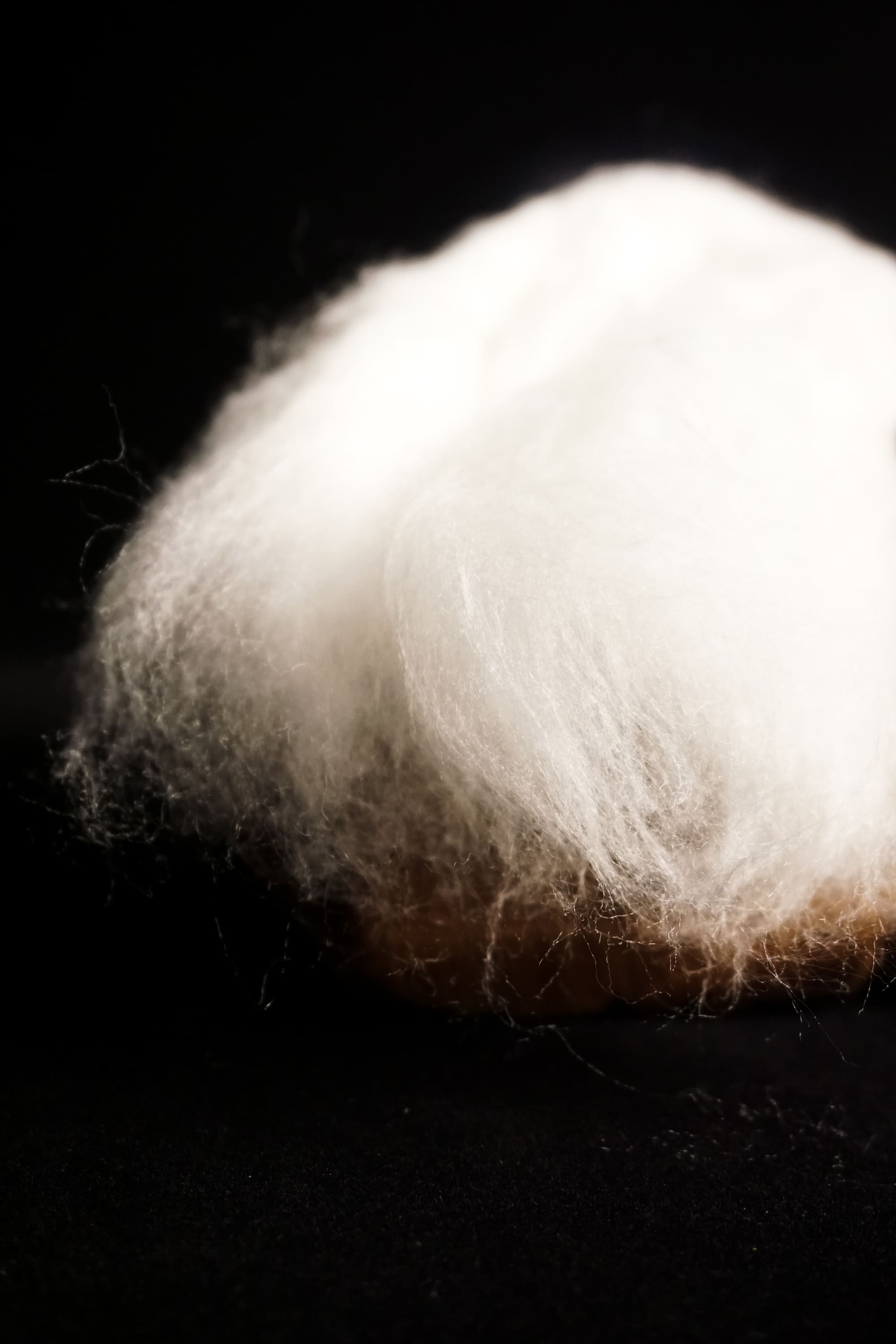 Celestial Silk Microfiber Cotton